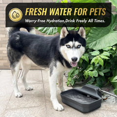 Ficuswin bol en extérieur utilisé par un grand chien, maintient hydratation