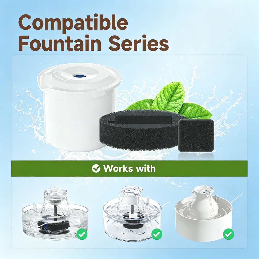 Gros plan sur filtre Ficuswin montrant couches multi-filtration pour eau claire