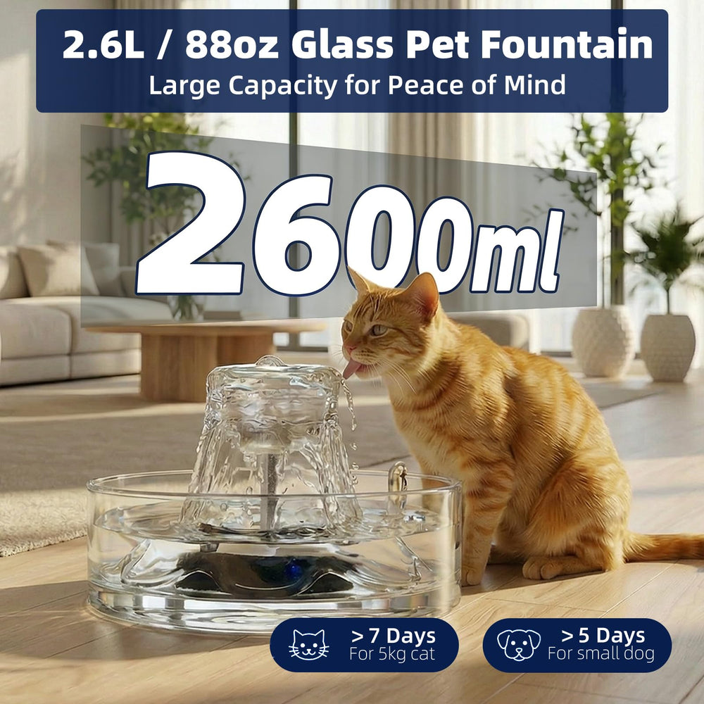 Ficuswin gros plan verre transparent révélant surface sans odeur et finition premium