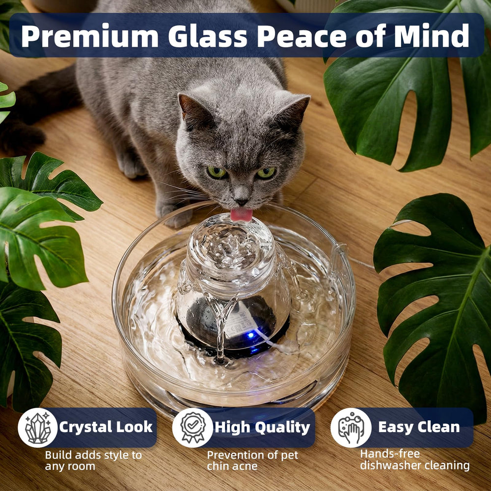 Ficuswin réservoir transparent montrant niveau d'eau visible pour remplissage rapide