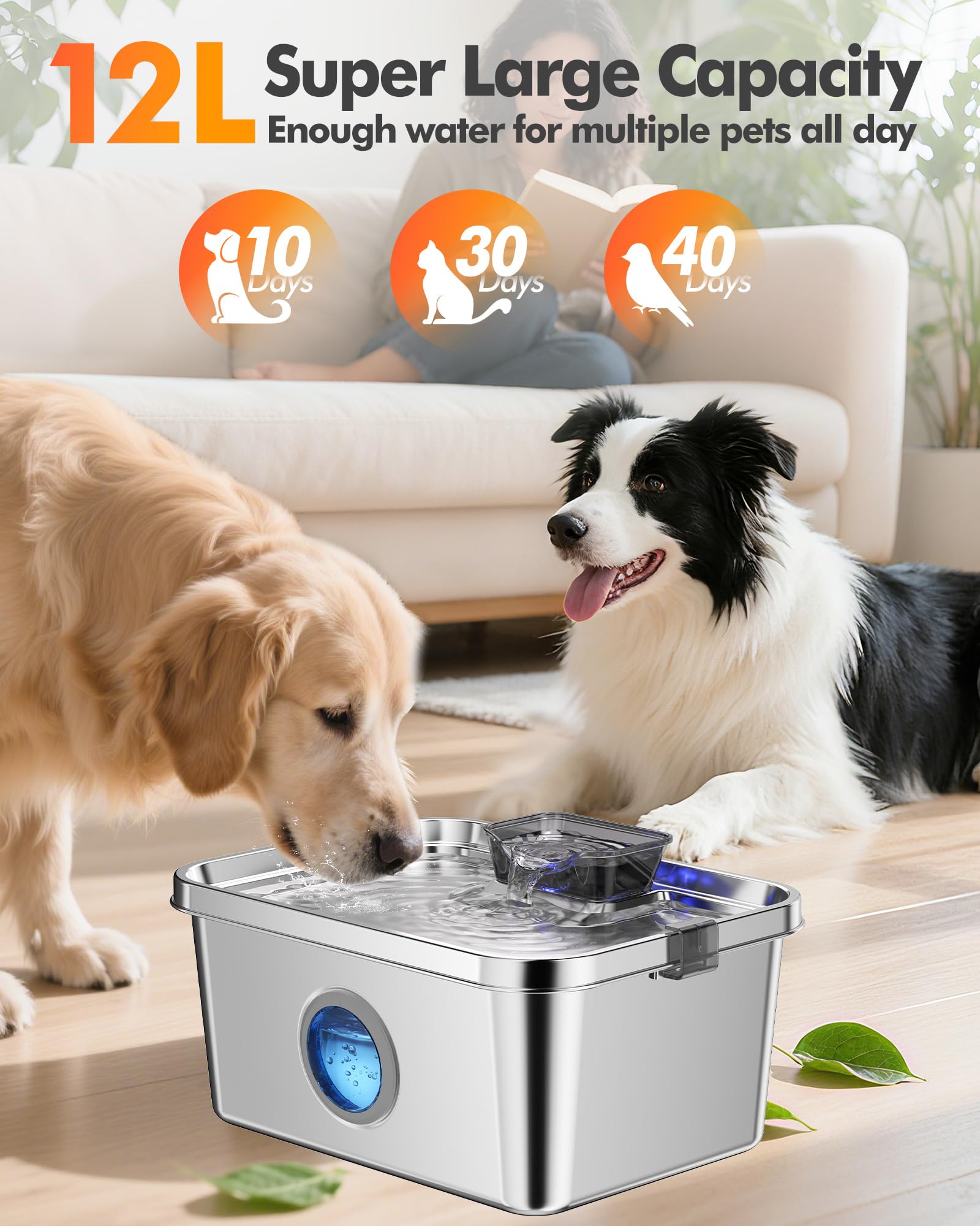 Fontaine Ficuswin en situation de vie cuisine, intégration discrète et pratique