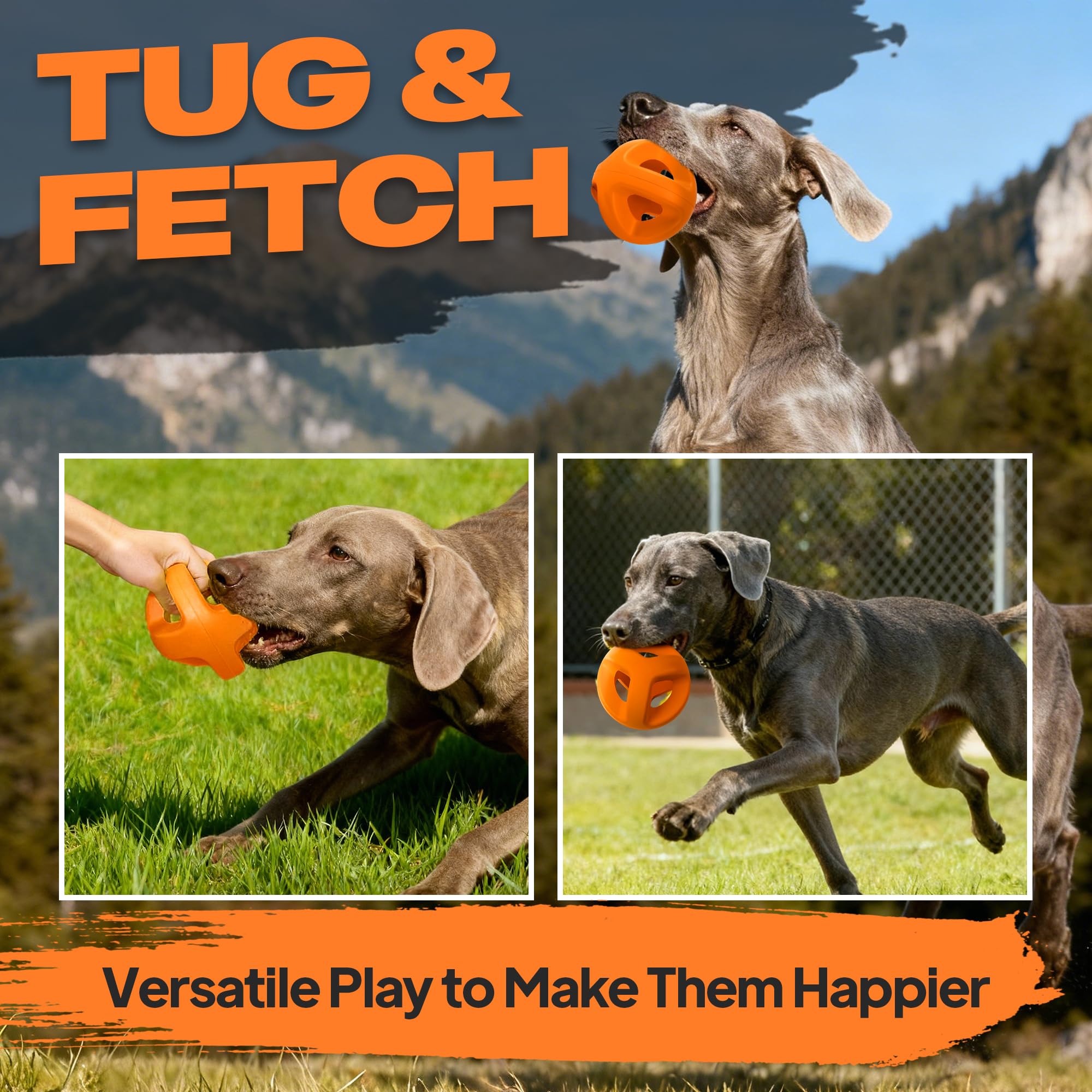 Fida balle en action avec chien en train de rapporter pour stimulation active