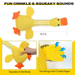 Fida canard vue de face en peluche, apparence douce pour confort du chien