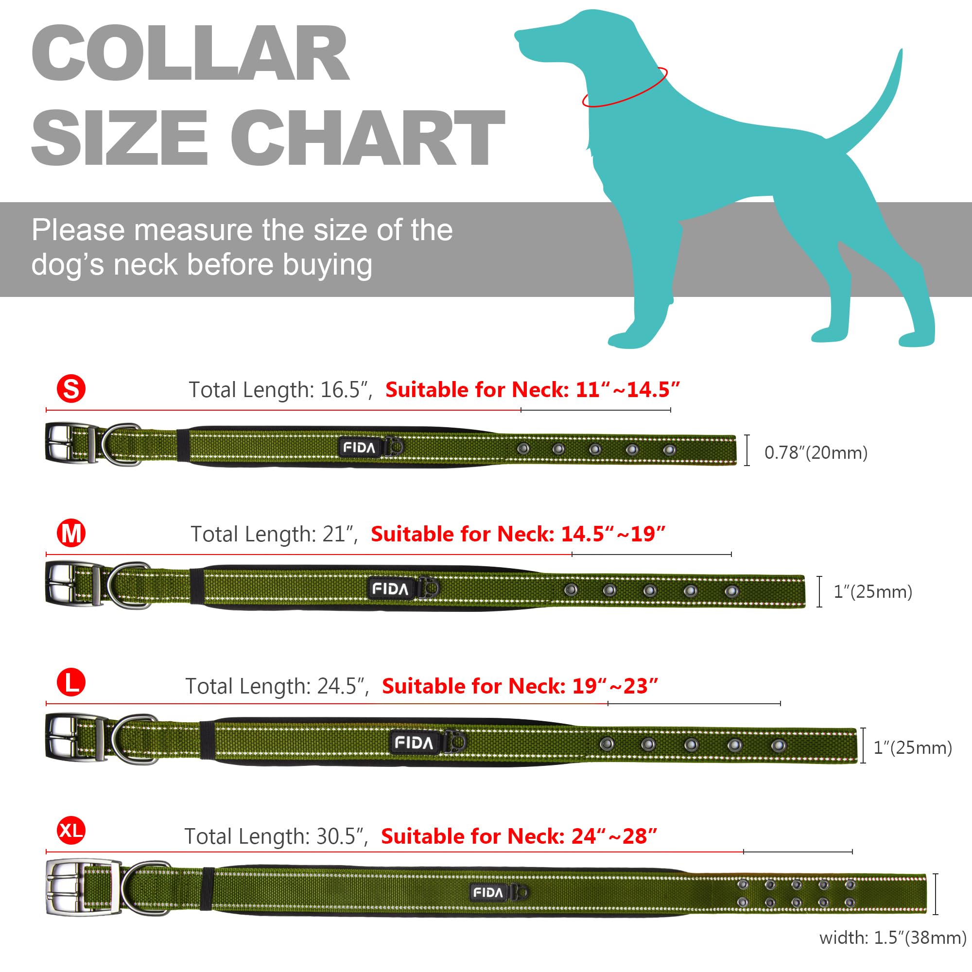 Fida comparaison taille collier sur règle aide à choisir la bonne mesure