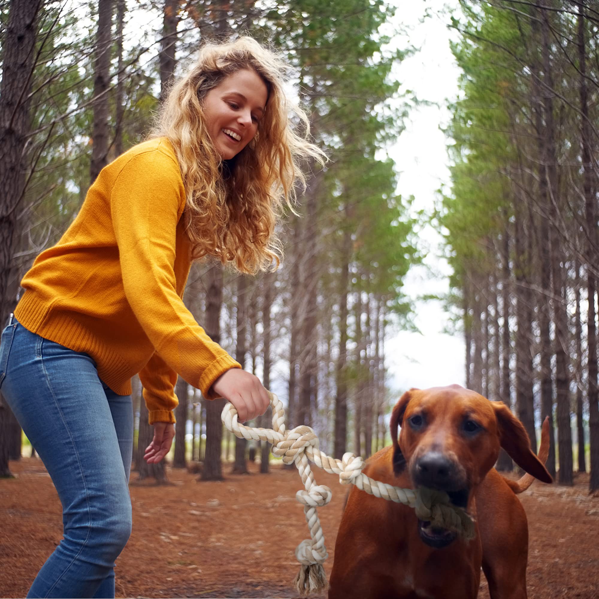 Fida usage intérieur détournant le chien des meubles et stimulant