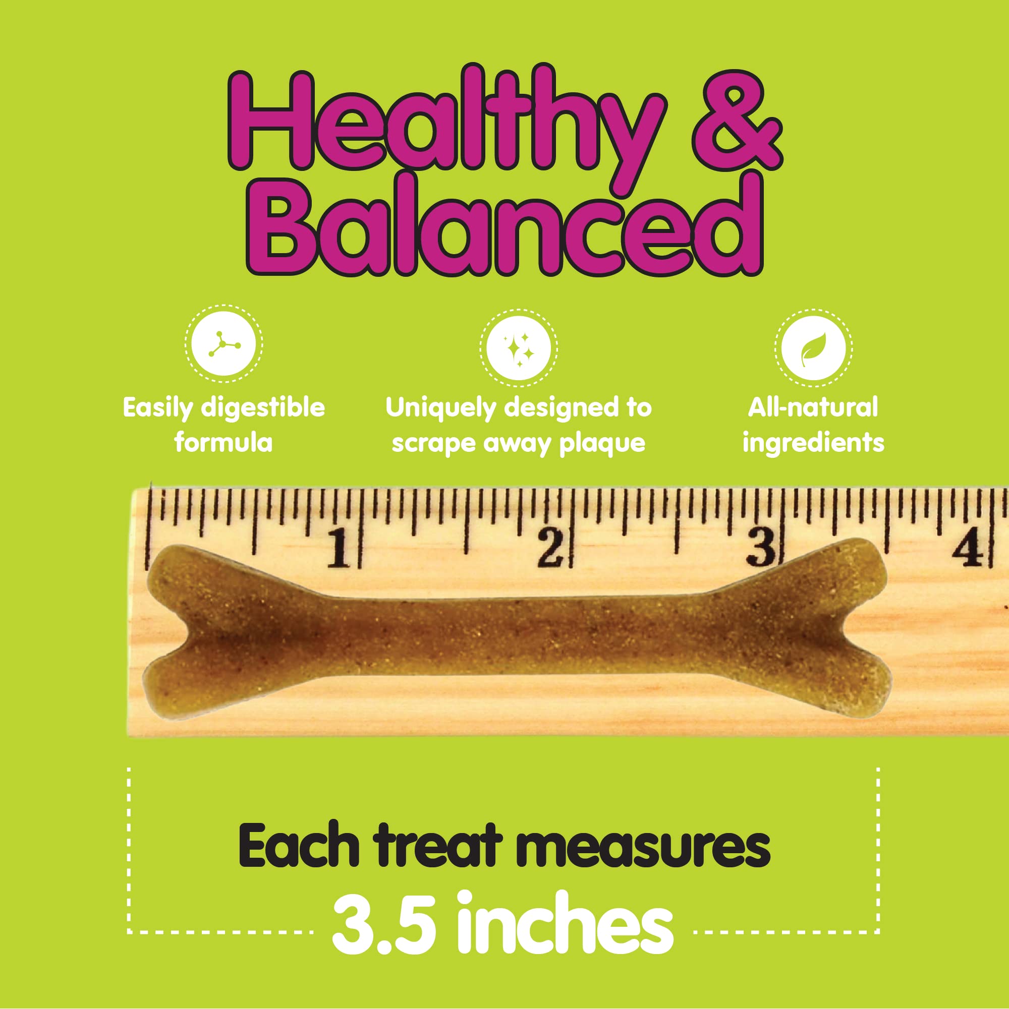 Fido comparaison taille avec règle montrant proportions pour chiens 19–34 lb