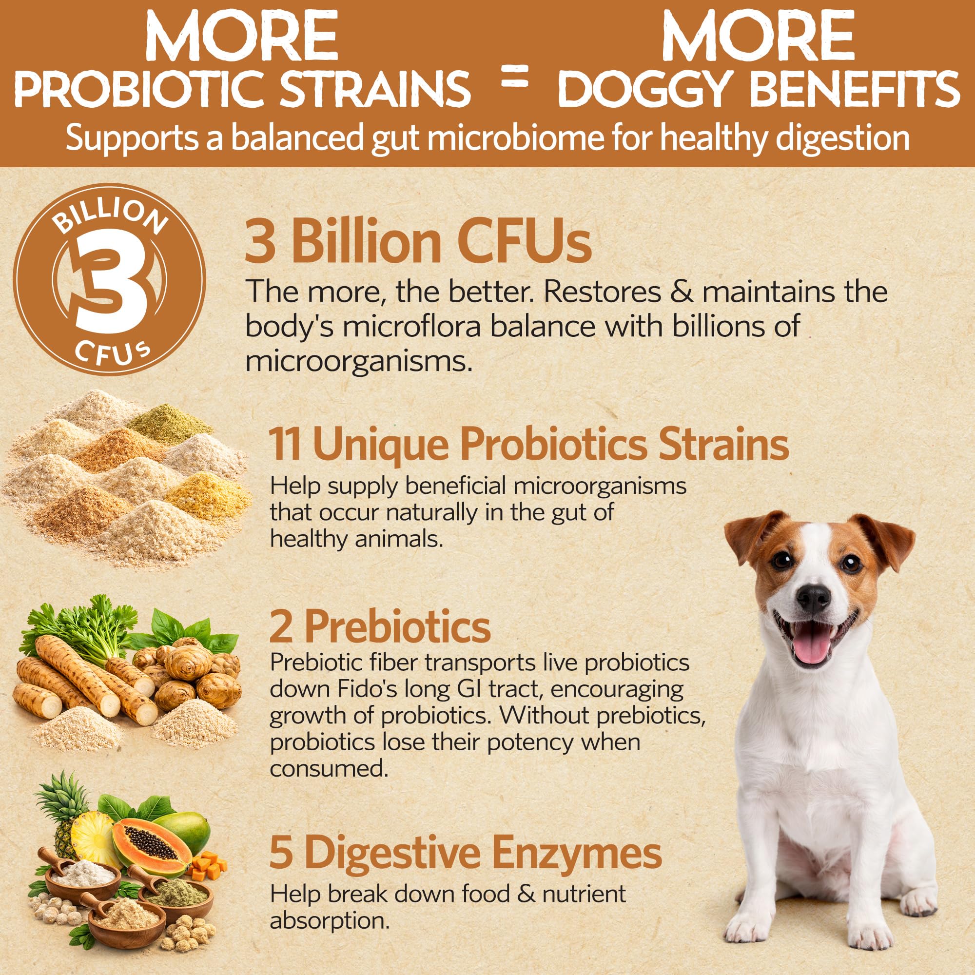 Fidobiotics cuillère mesure indiquant dosage simple pour petit chien