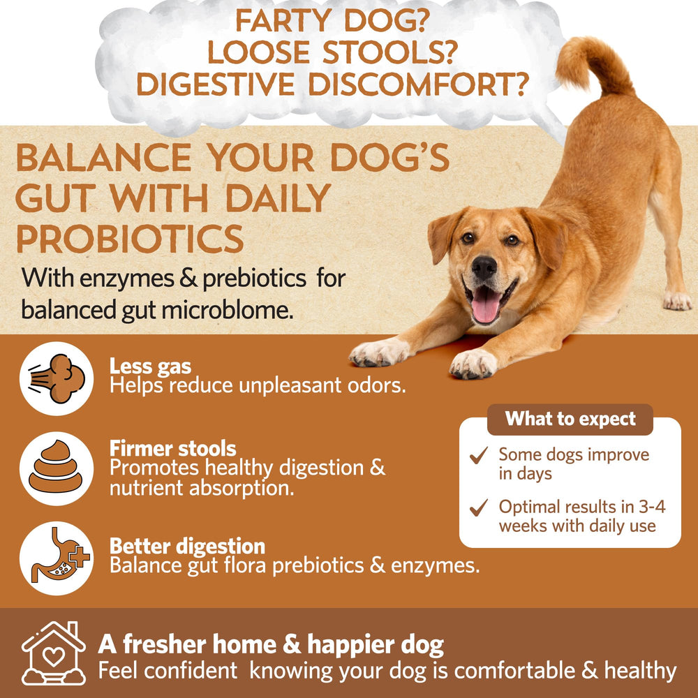 Fidobiotics poudre gros plan illustrant texture fine et dissolution rapide
