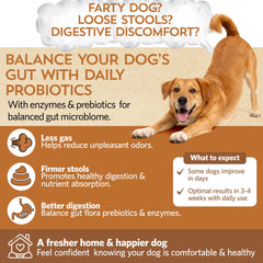 Fidobiotics poudre gros plan illustrant texture fine et dissolution rapide