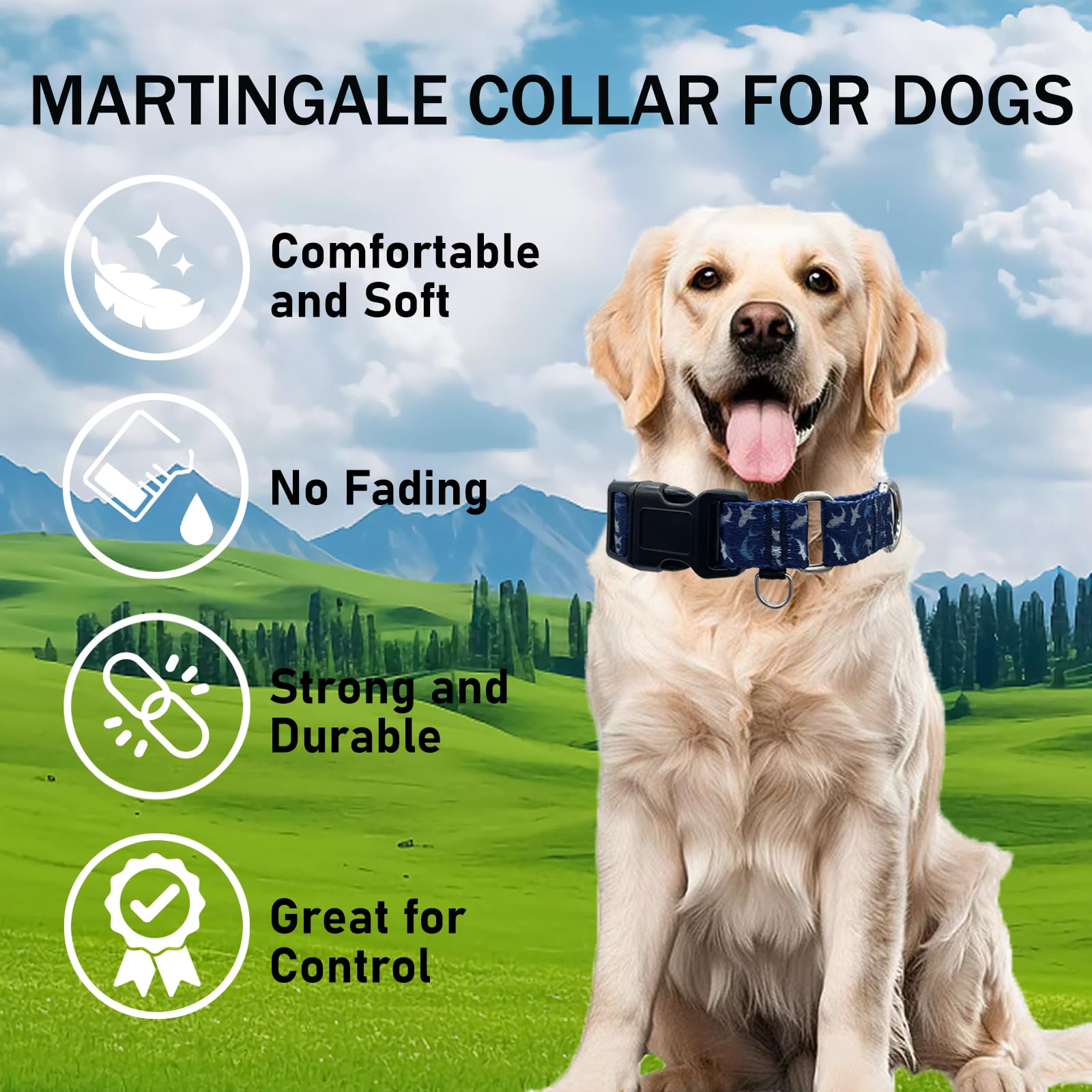 Fidohug vue du système martingale limitant l'évasion du chien