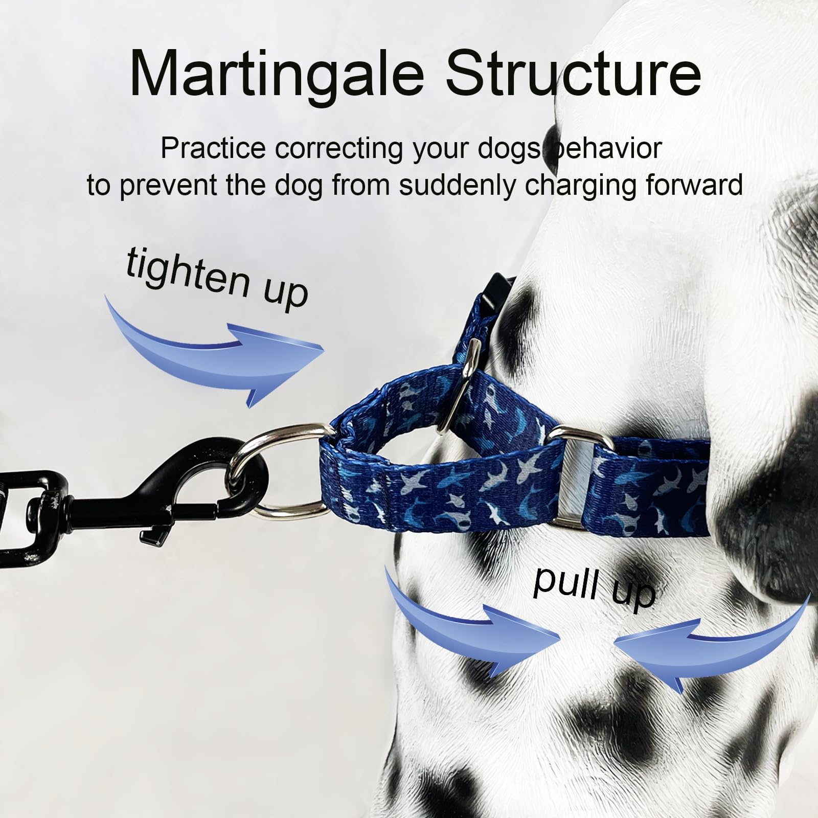 Fidohug motif Deep Blue Shark décoratif et résistant à l'usure
