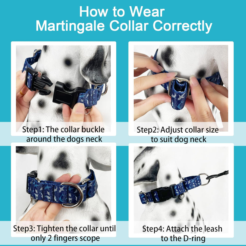 Fidohug collier porté lors d'une promenade offrant meilleur contrôle