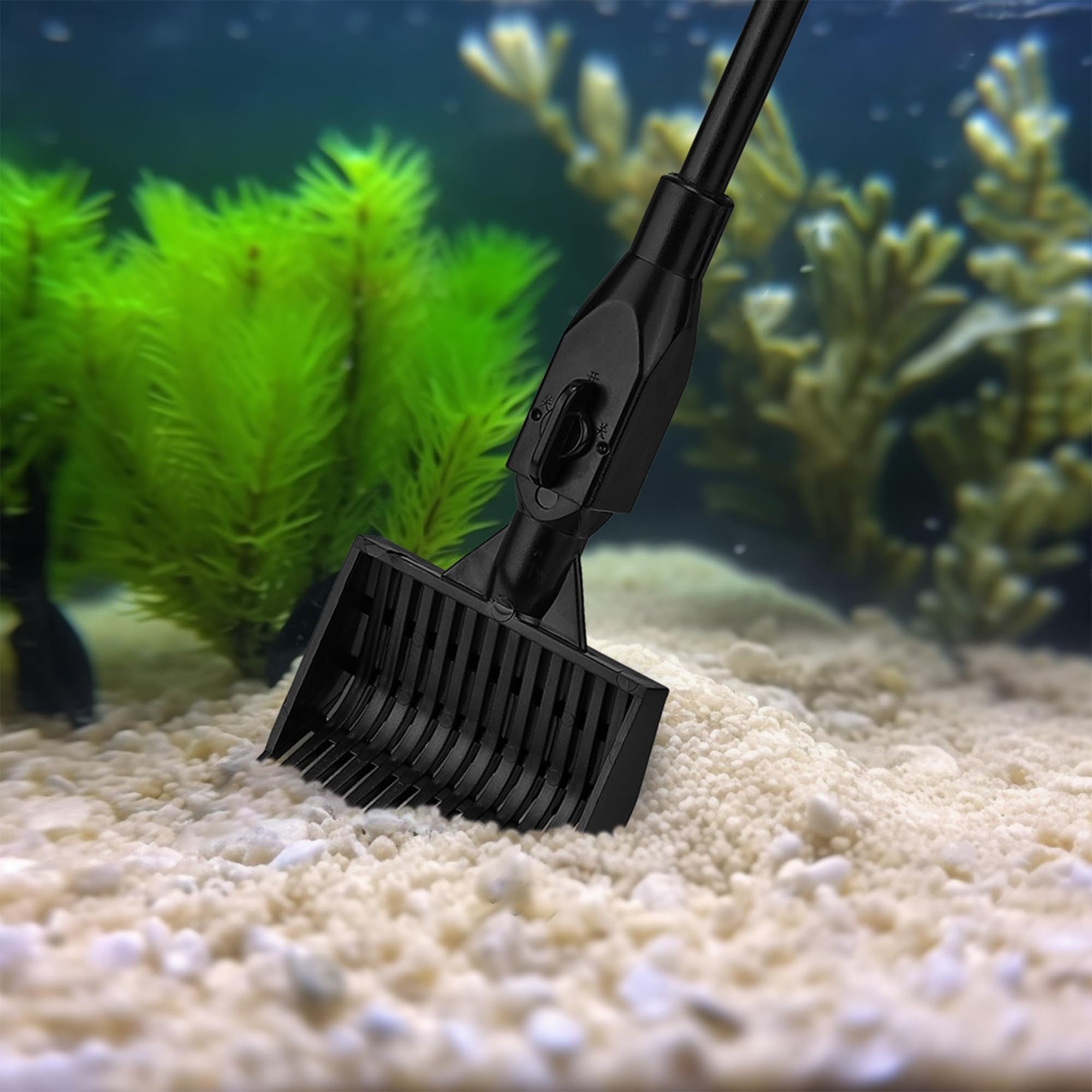 Filhome kit posé près d'un aquarium montrant entretien facile et propre