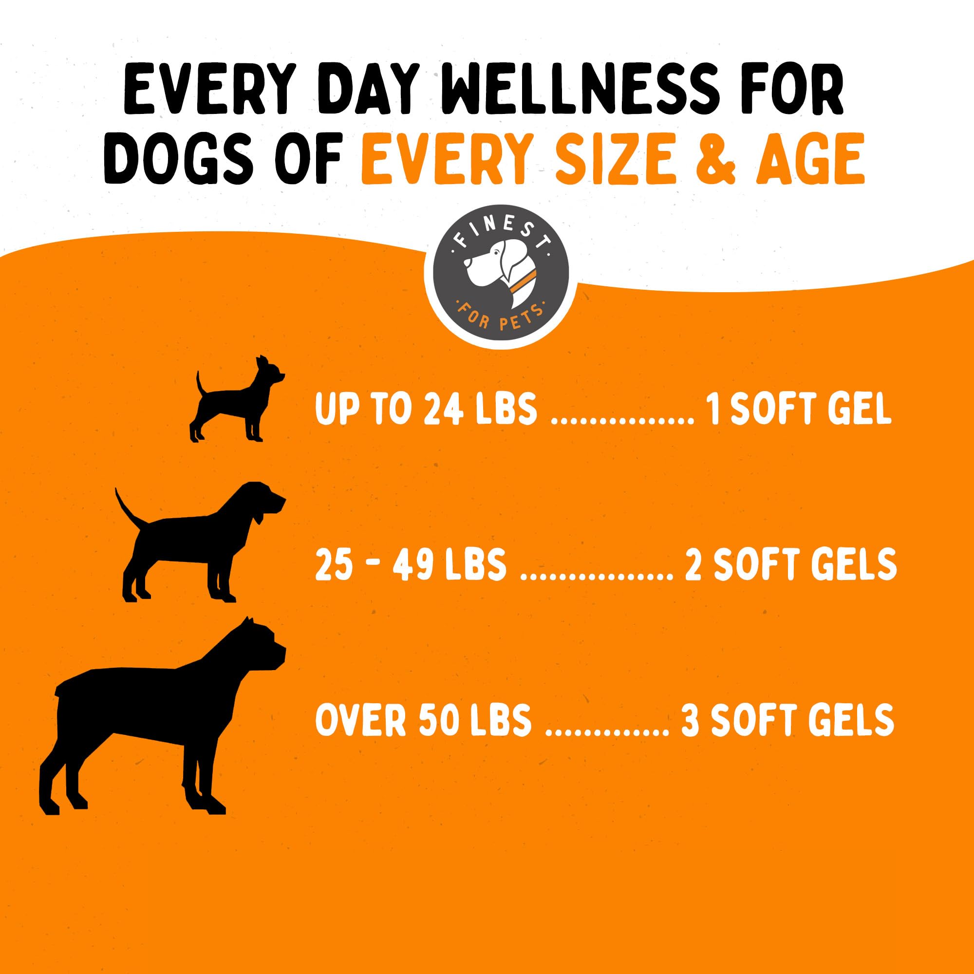 Finest For Pets chien heureux pelage brillant illustrant résultat esthétique