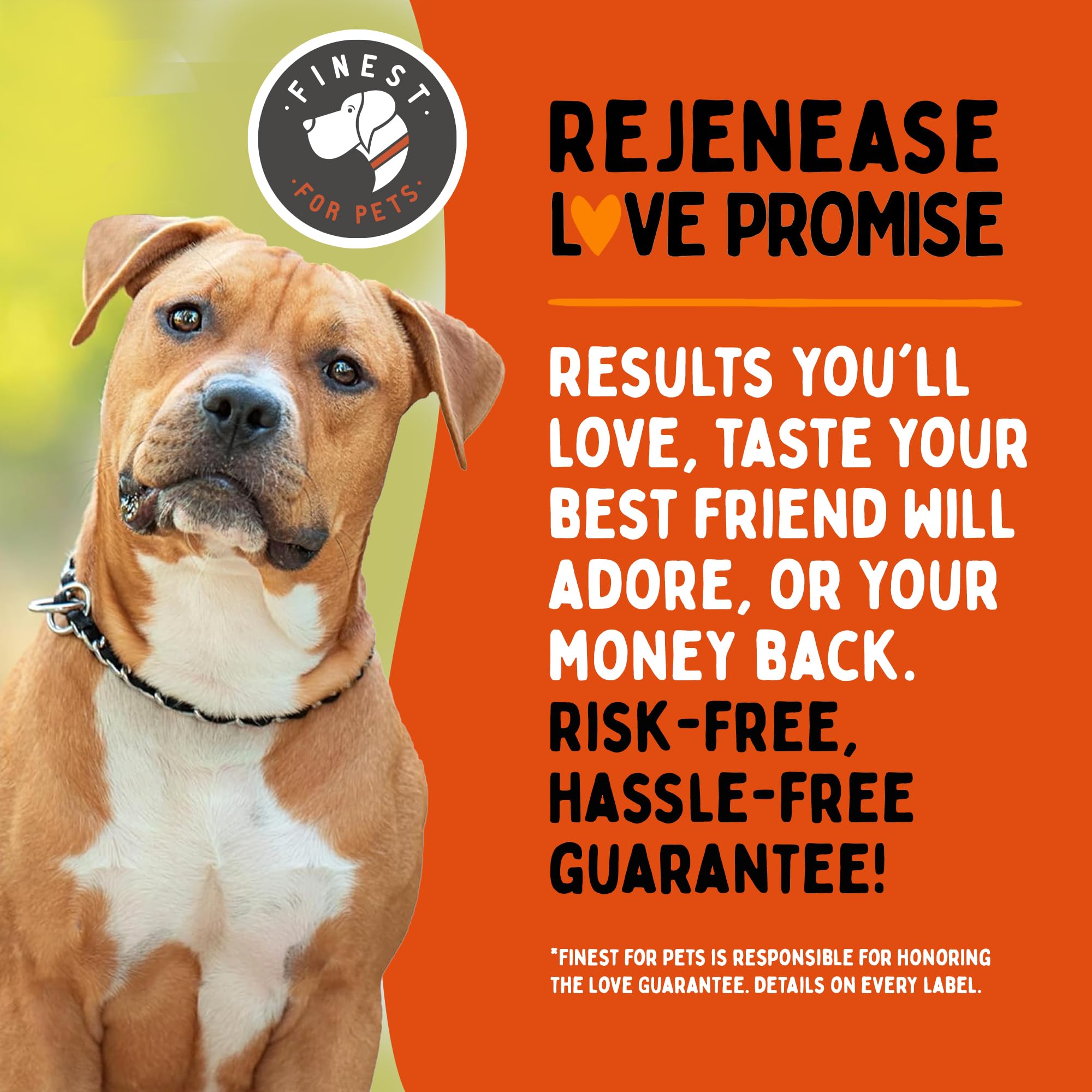 Finest For Pets chien actif bénéficiaire de meilleure mobilité en extérieur