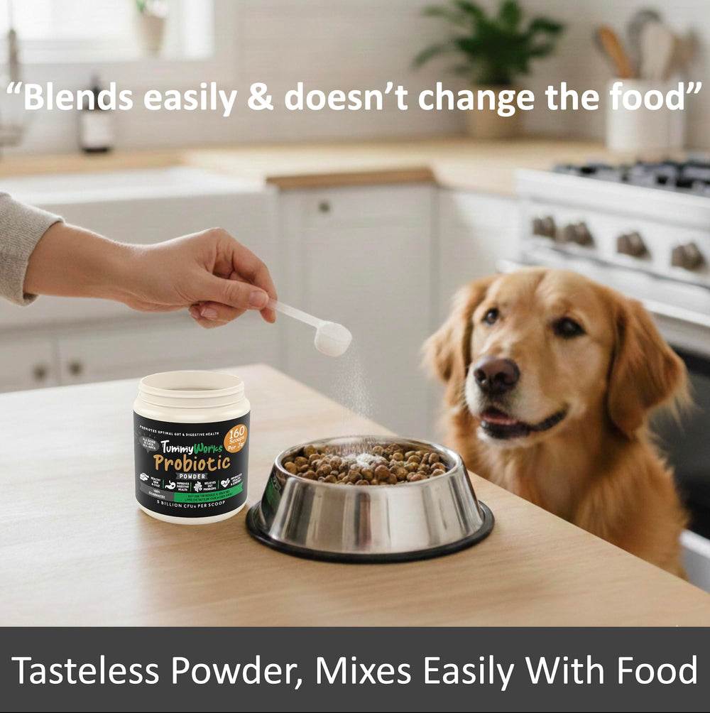 Finest For Pets poudre mélangée aux croquettes pour acceptation discrète