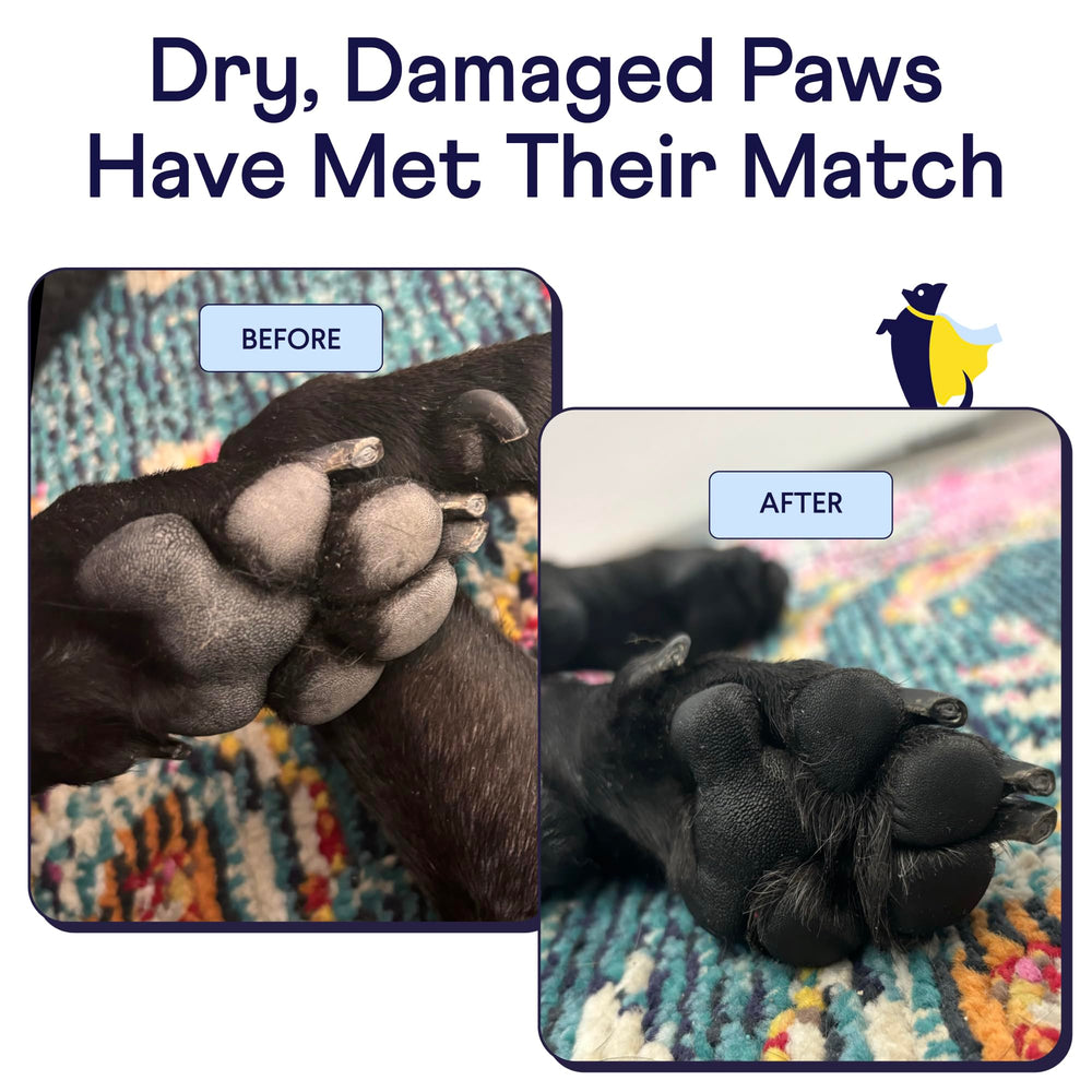 Gros plan de la texture du baume Finn Paw montrant hydratation apaisante