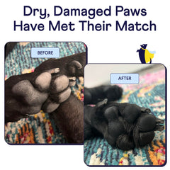 Gros plan de la texture du baume Finn Paw montrant hydratation apaisante