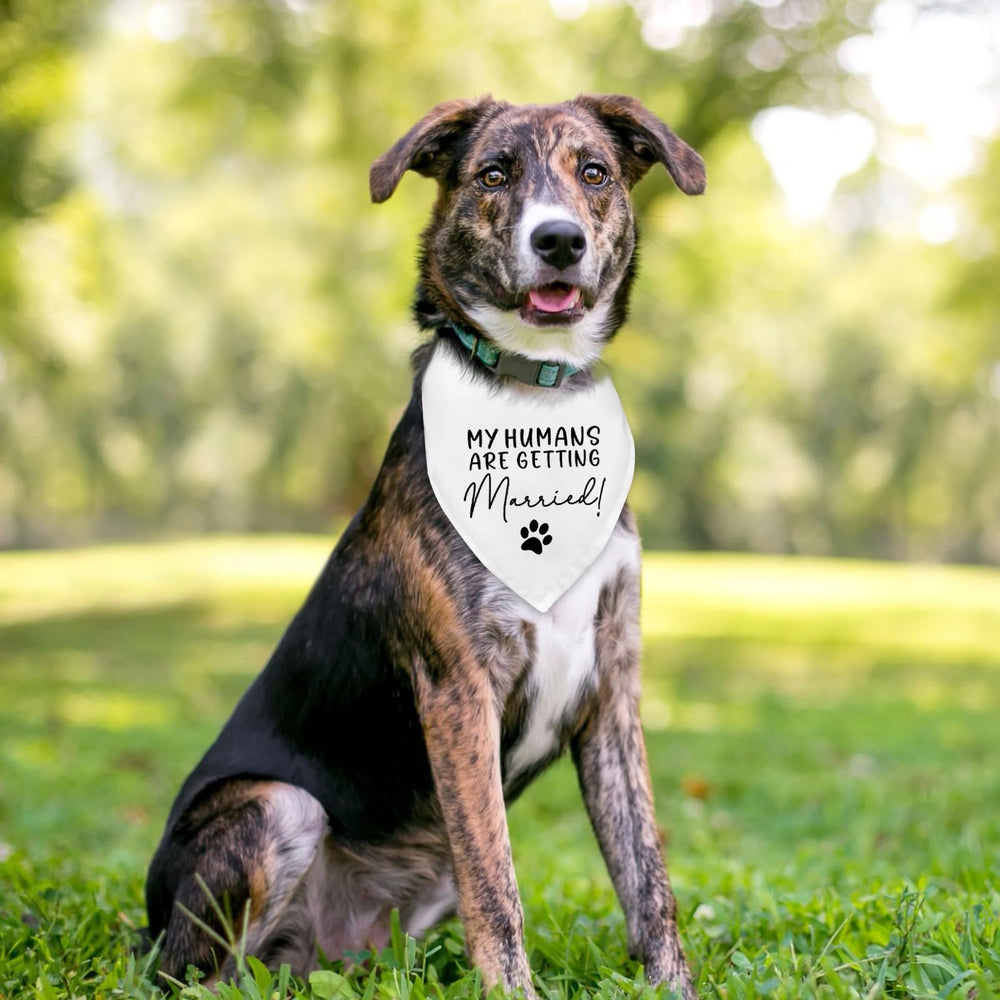 Bandana Fipsieneml présenté dans un panier cadeau prêt pour offrir