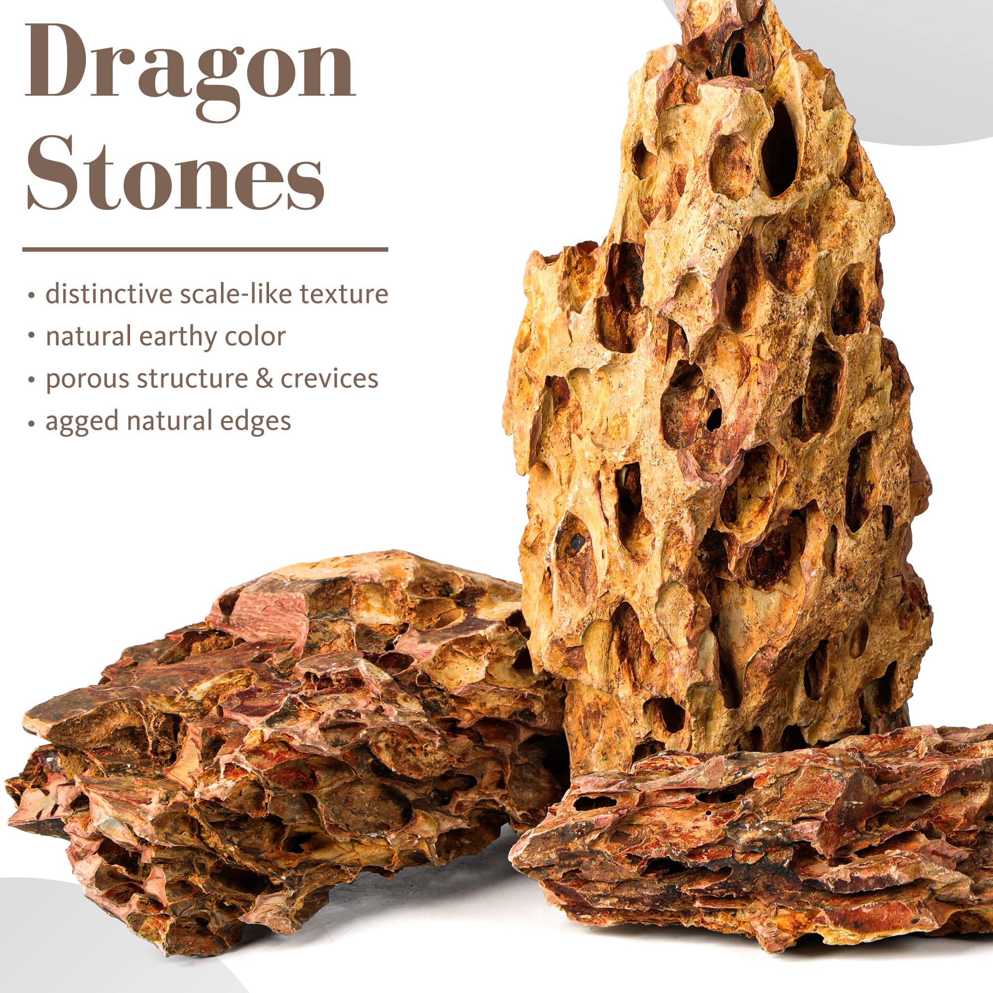 FISCAPE pierre Dragon gros plan texture offrant accroche idéale pour plantes