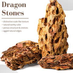 FISCAPE pierre Dragon gros plan texture offrant accroche idéale pour plantes