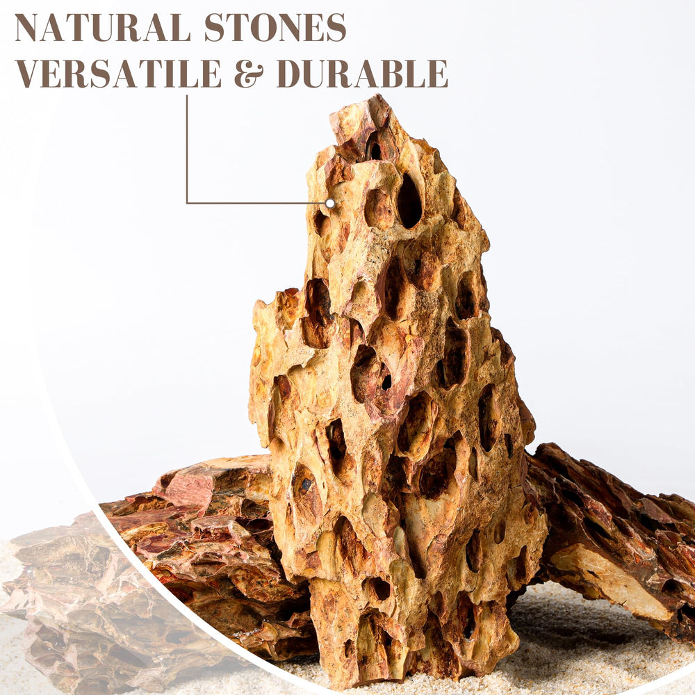 FISCAPE pierre Dragon vue de profil montrant couches naturelles et reliefs