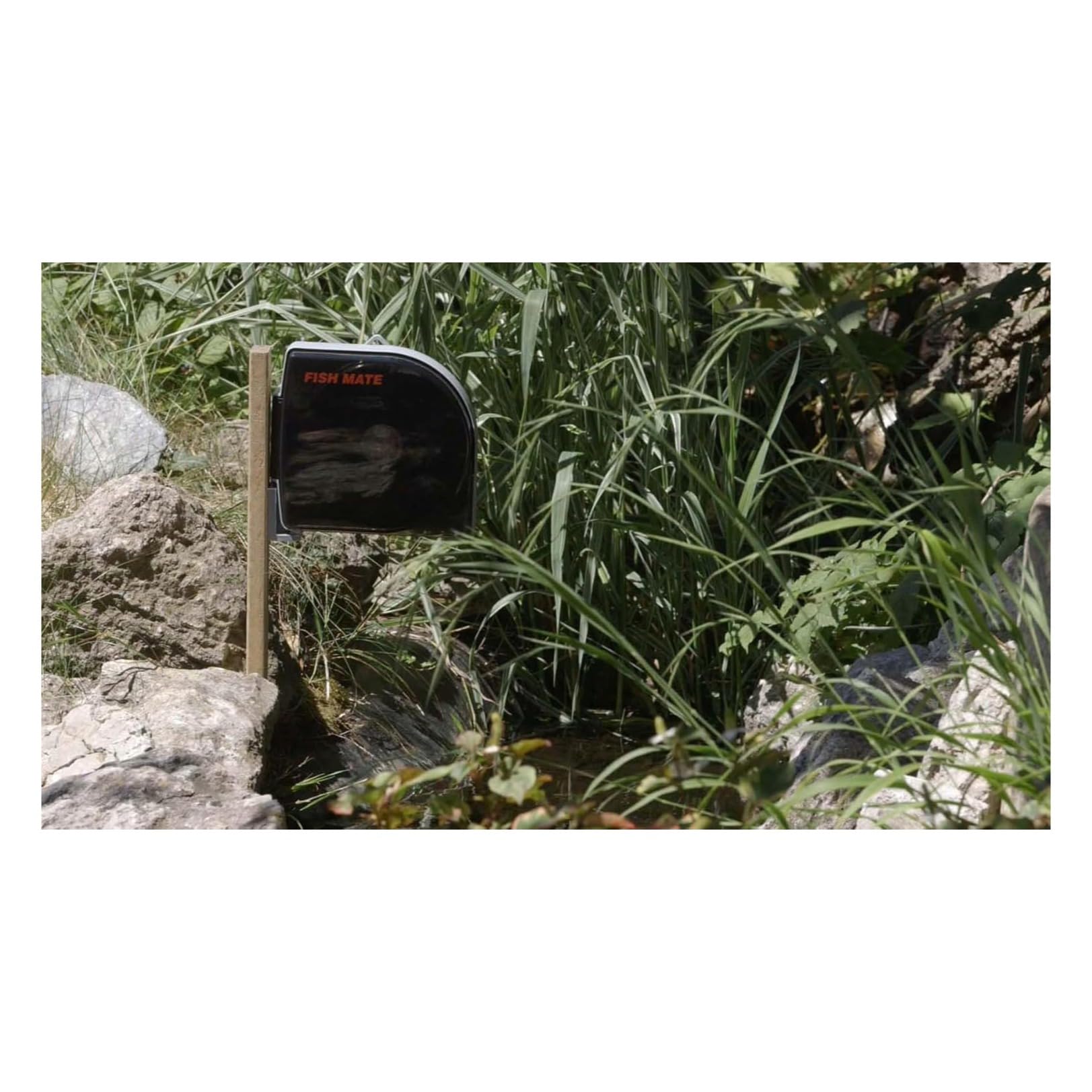 Fish Mate P21 gros plan sur la trémie et sortie pour distribution progressive