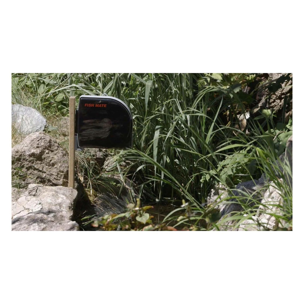Fish Mate P21 gros plan sur la trémie et sortie pour distribution progressive