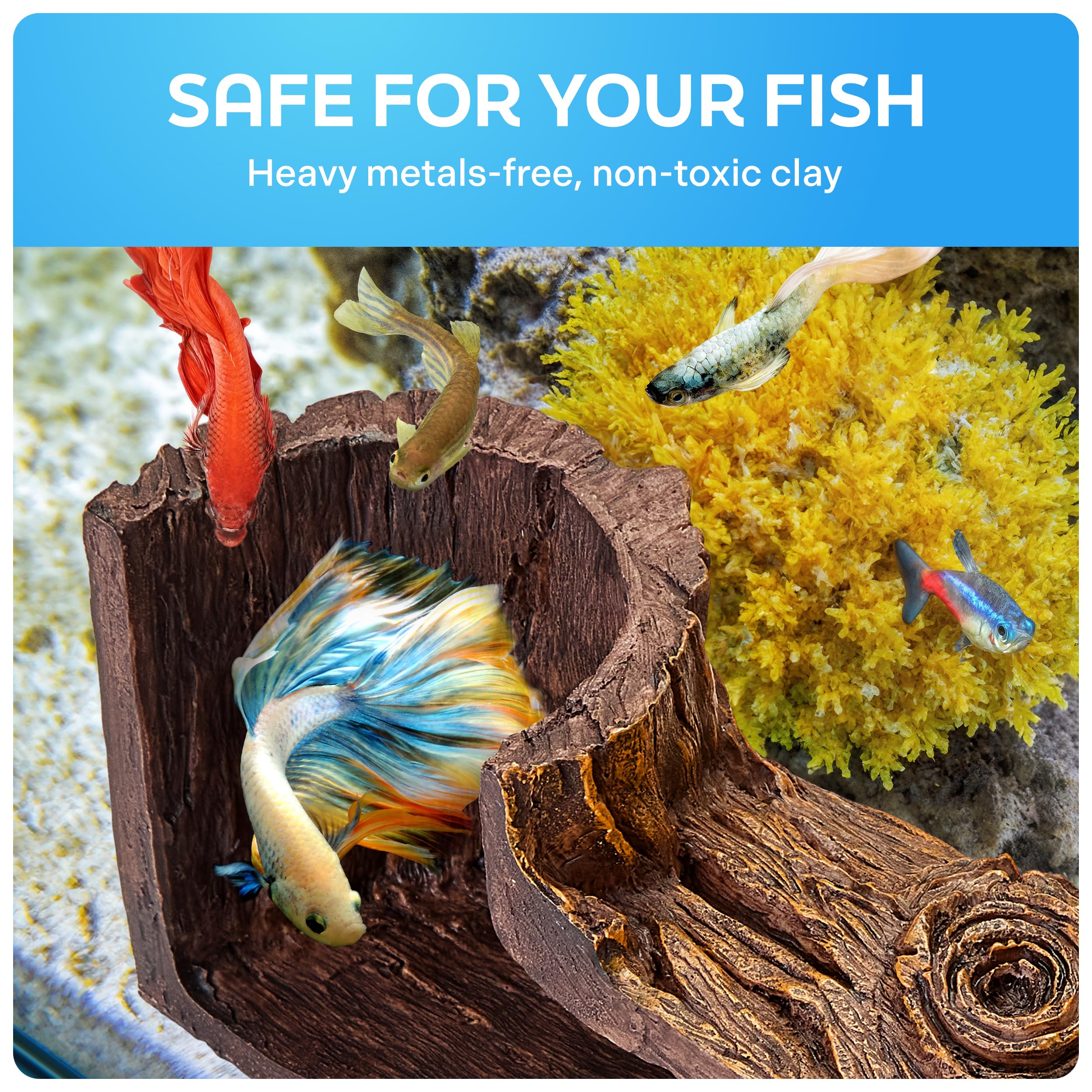 FISHNOSH comparatif taille à côté d'une règle pour vérification des dimensions