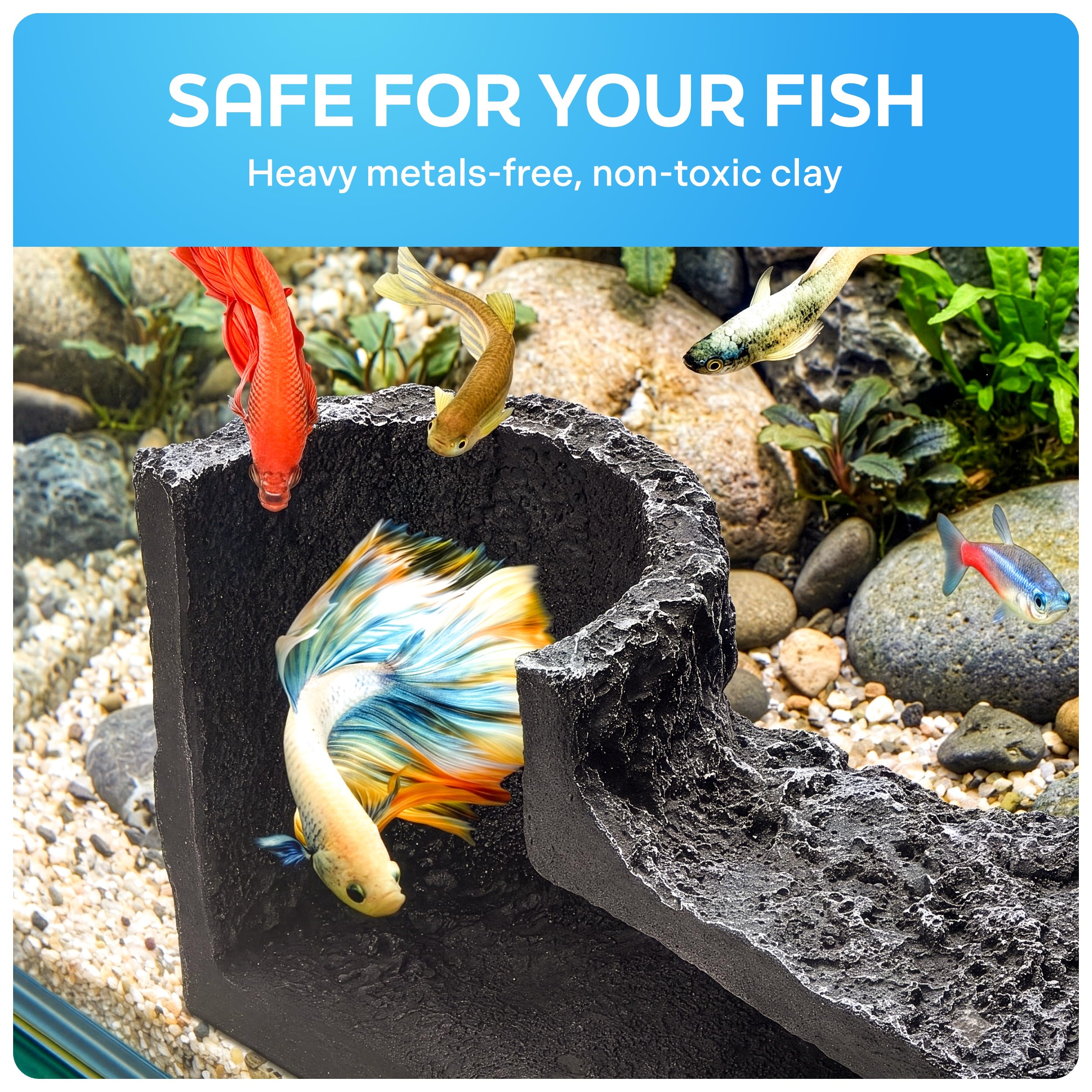 FISHNOSH comparaison d'échelle montrant ouverture adaptée aux petits poissons