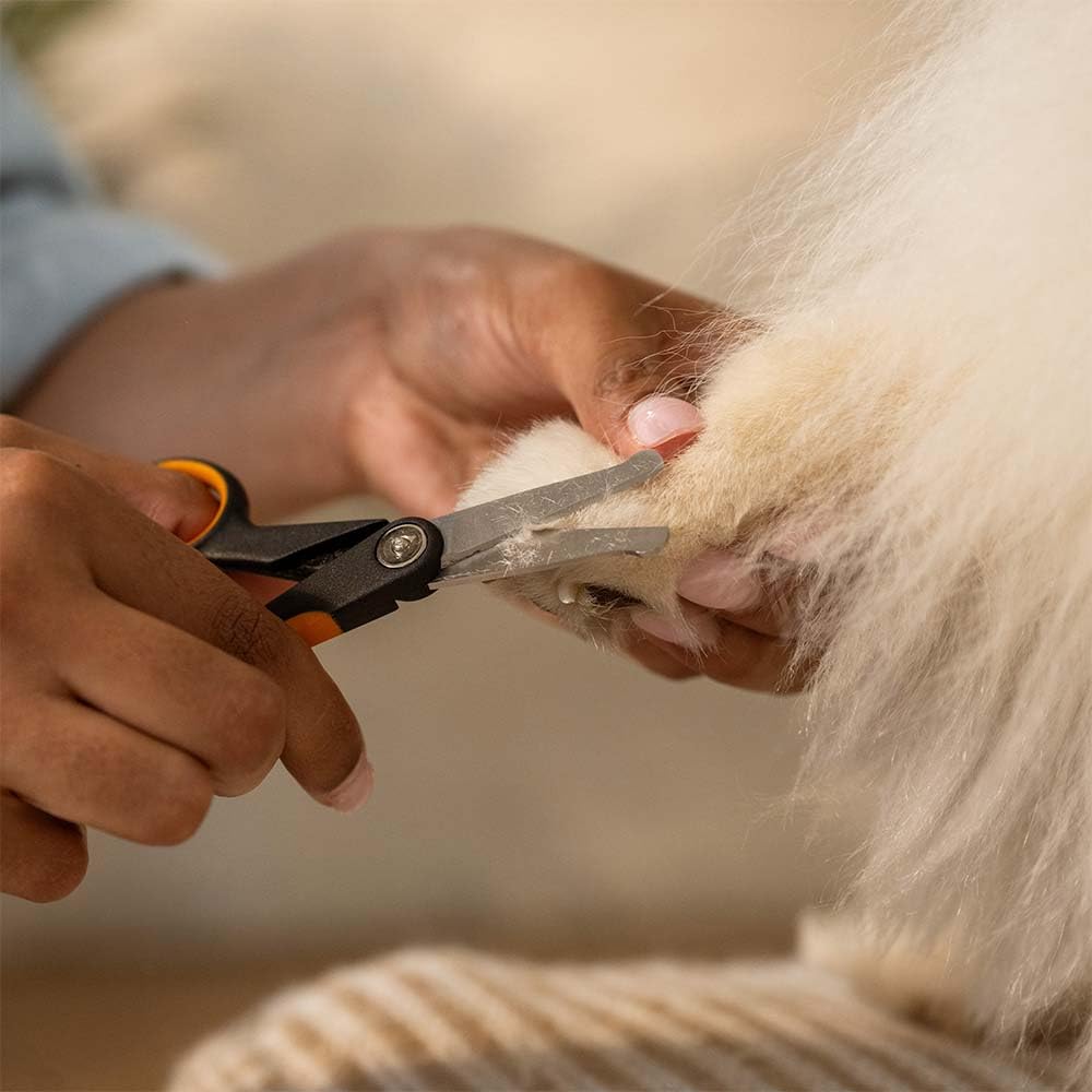 Fiskars ciseaux dans salon lifestyle illustrant usage professionnel