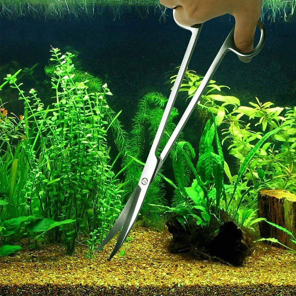 FISTOY utilisation dans aquarium pour entretien sans agitation