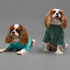 Fitwarm enfilage sur petit chien, démontre facilité d'habillage et liberté