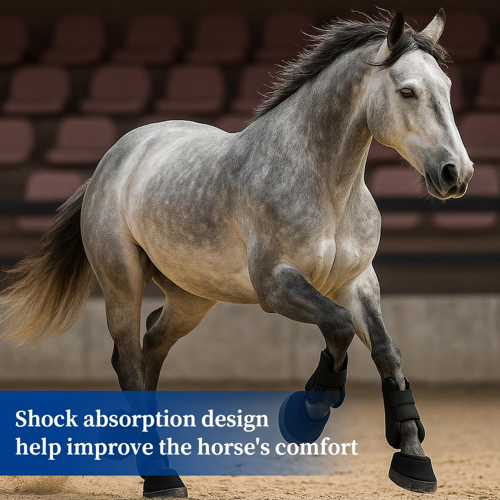 Fiwochic mise en scène équestre montrant confort pour le cheval