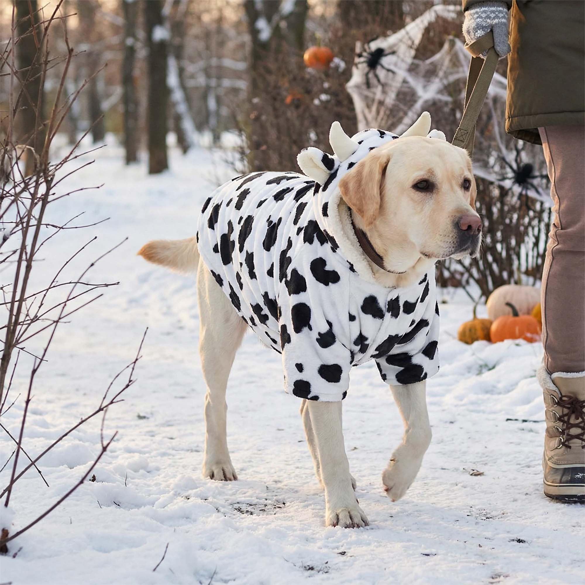 FLAdorepet chien portant costume vache lors d'une fête, look festif