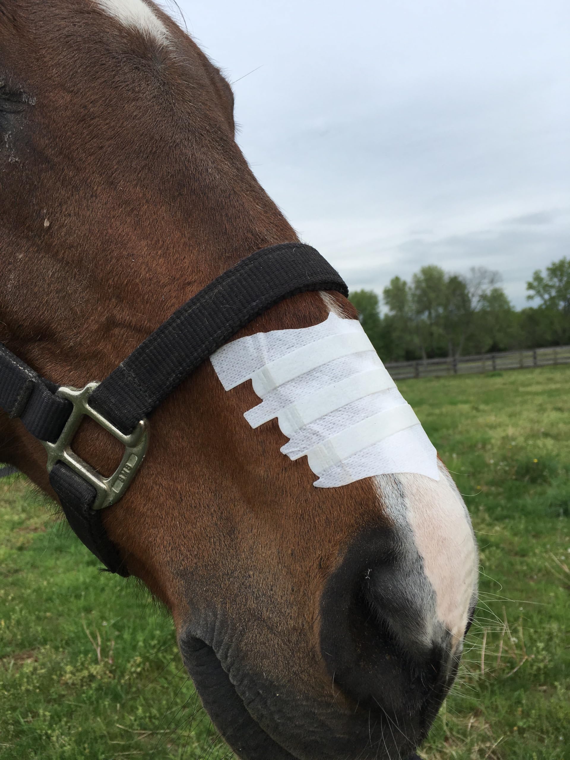 Flair mise en situation lors d'une compétition montrant soutien respiratoire