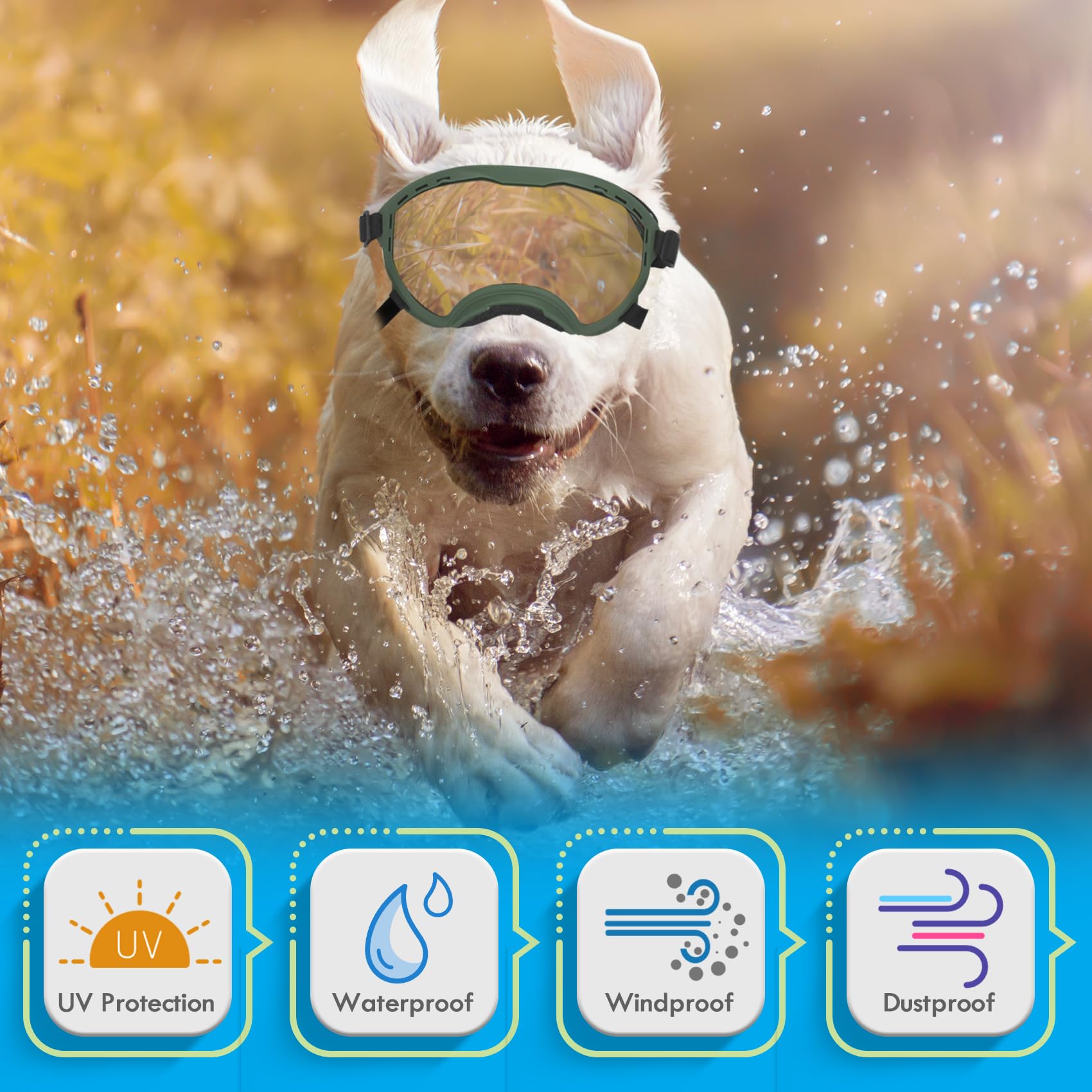 Flantor chien en voiture portant lunettes protégeant yeux du vent