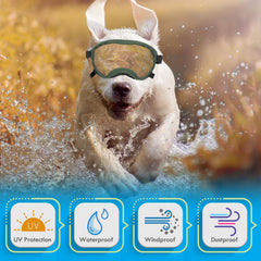 Flantor chien en voiture portant lunettes protégeant yeux du vent
