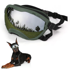 Flantor lunettes chien vue avant en vert assurant protection solaire complète