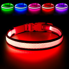 Flashseen vue avant du collier rouge montrant sécurité accrue