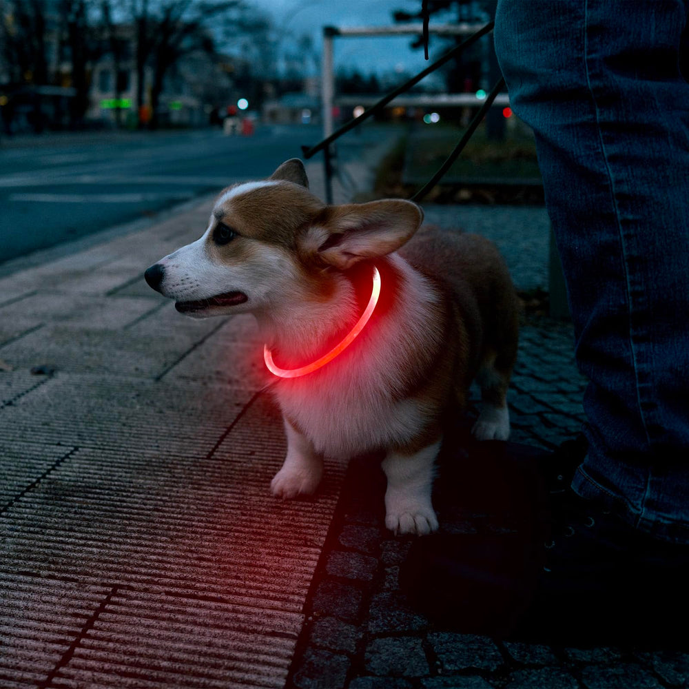 Flashseen collier porté lors d'un événement festif créant ambiance lumineuse