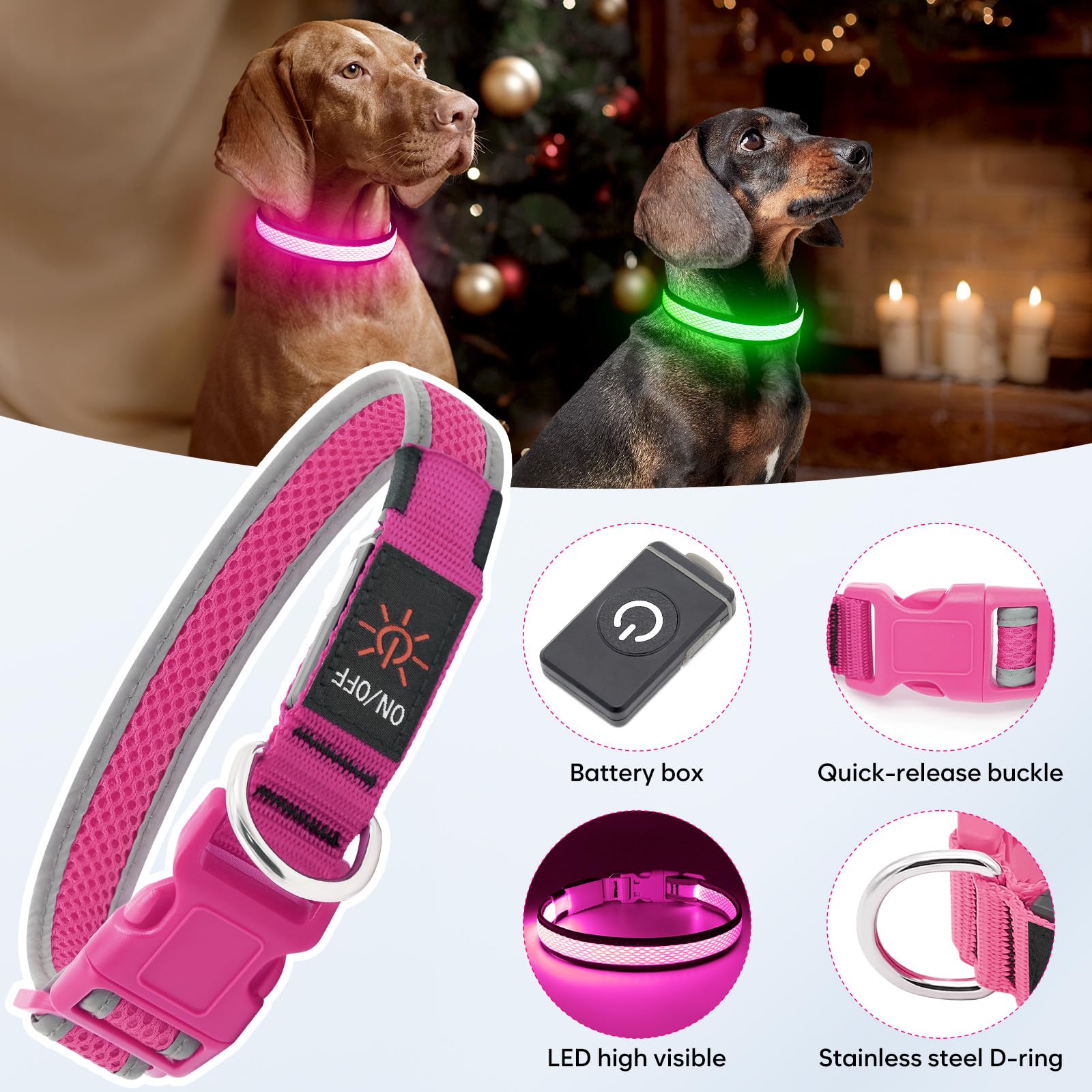 Flashseen collier porté lors d'une promenade sécurise le chien