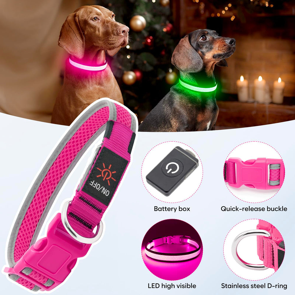 Flashseen collier porté lors d'une promenade sécurise le chien