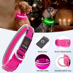 Flashseen collier porté lors d'une promenade sécurise le chien