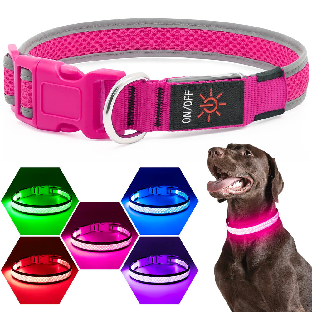 Flashseen collier face avant montrant lumière vive pour sécurité