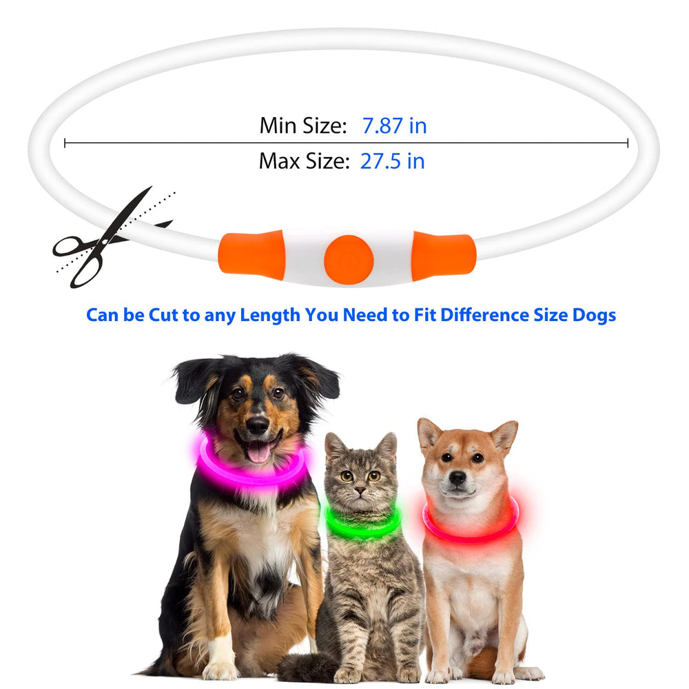 Flashseen collier porté par chien la nuit augmentant sécurité