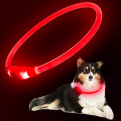 Flashseen collier LED face avant montrant visibilité et sécurité