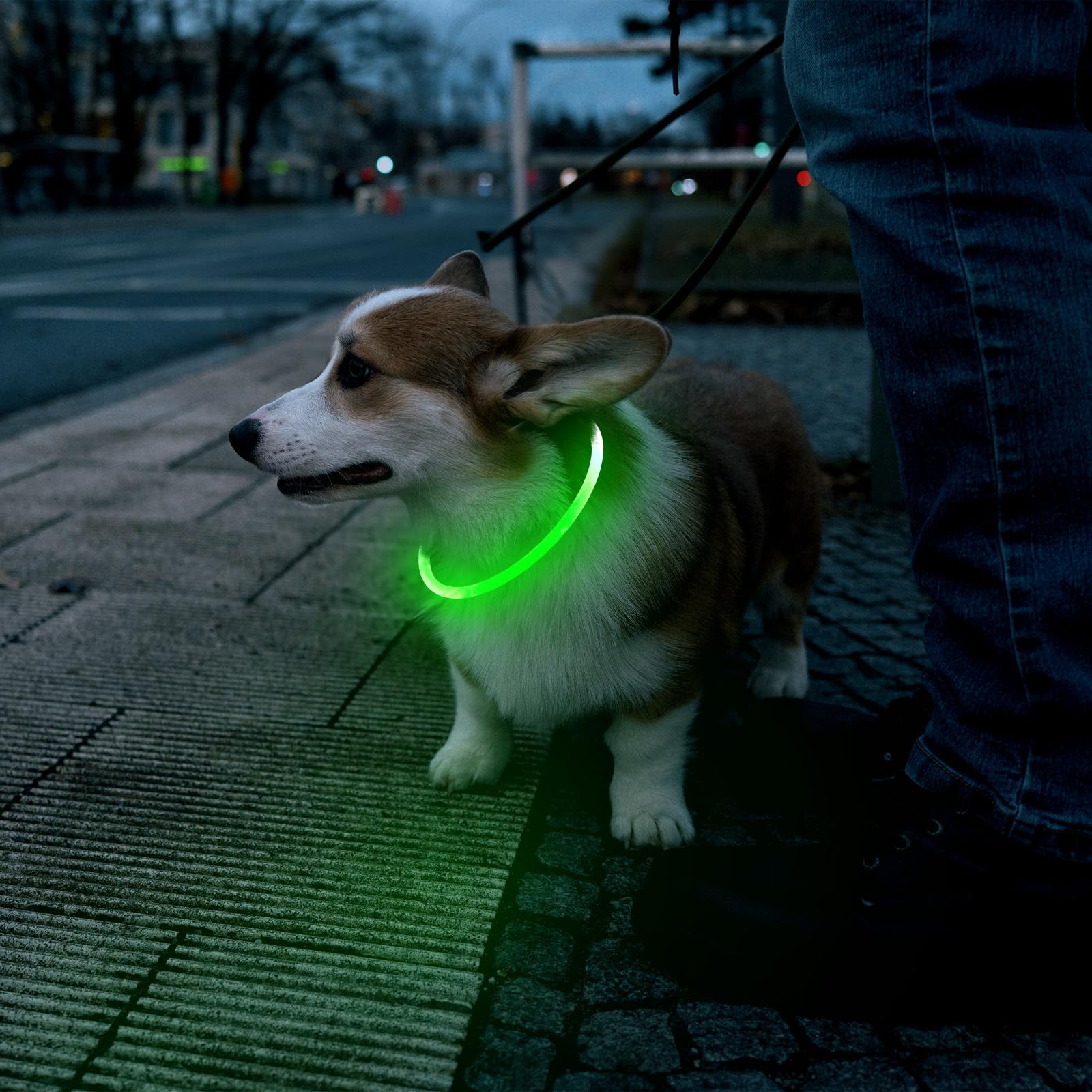 Flashseen câble USB connecté au collier montrant fonction rechargeable