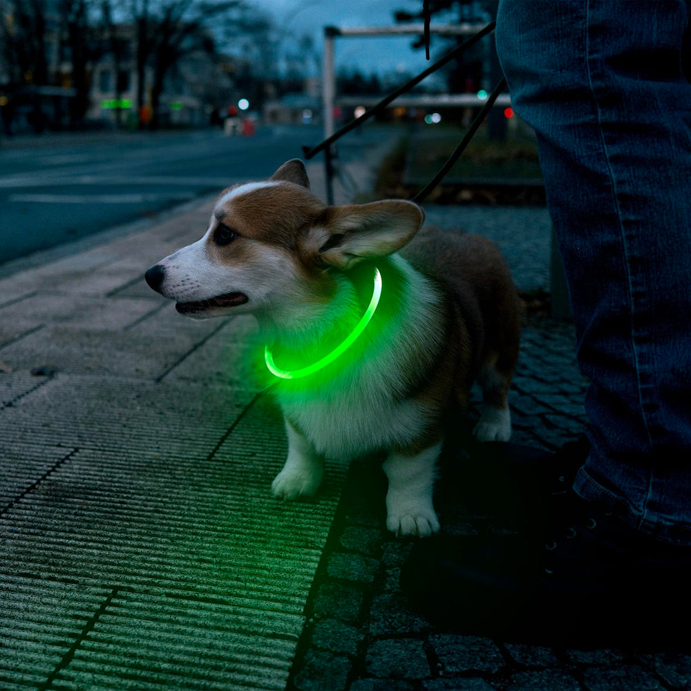 Flashseen câble USB connecté au collier montrant fonction rechargeable