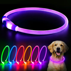 Flashseen collier LED face avant visibilité accrue